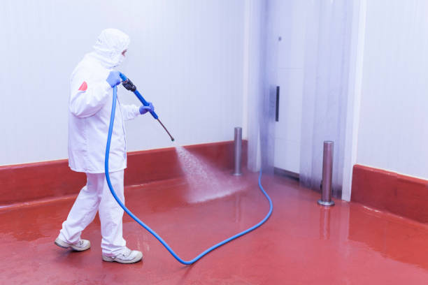 Pre-Holiday Cleaning in Andrews Af, MD